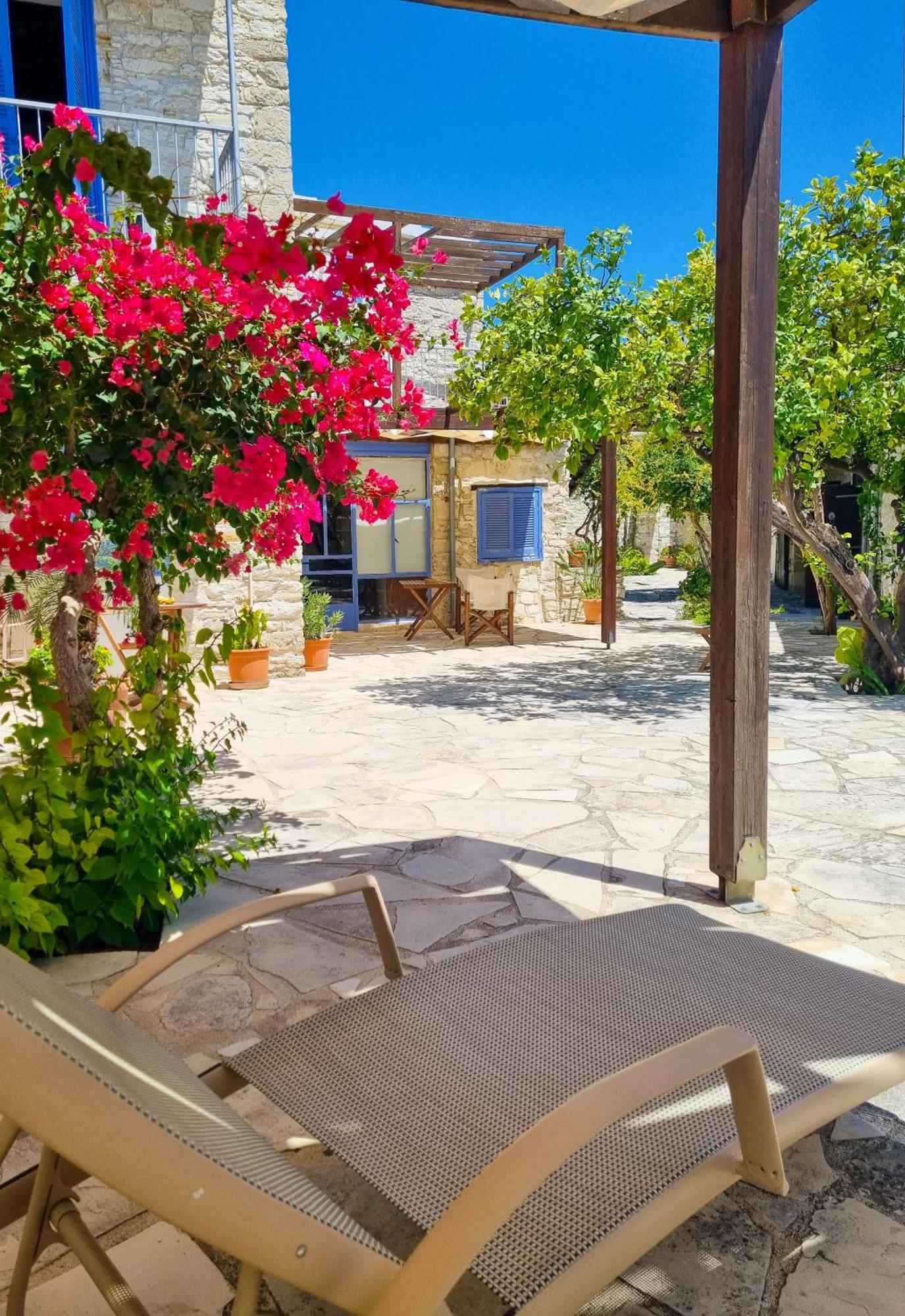 Athena'S Pool Oasis Apartment Skarinou Bagian luar foto