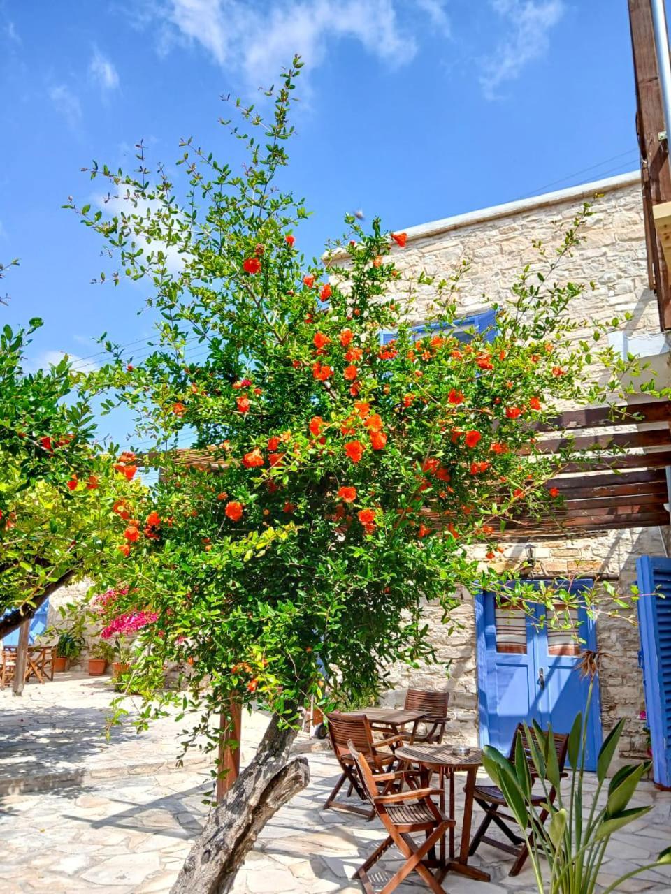 Athena'S Pool Oasis Apartment Skarinou Bagian luar foto