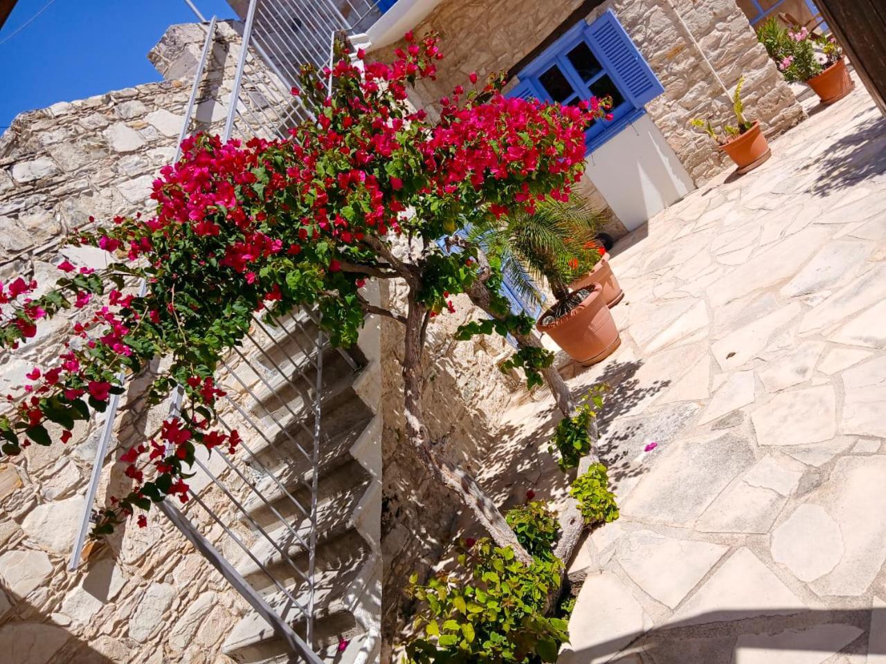 Athena'S Pool Oasis Apartment Skarinou Bagian luar foto