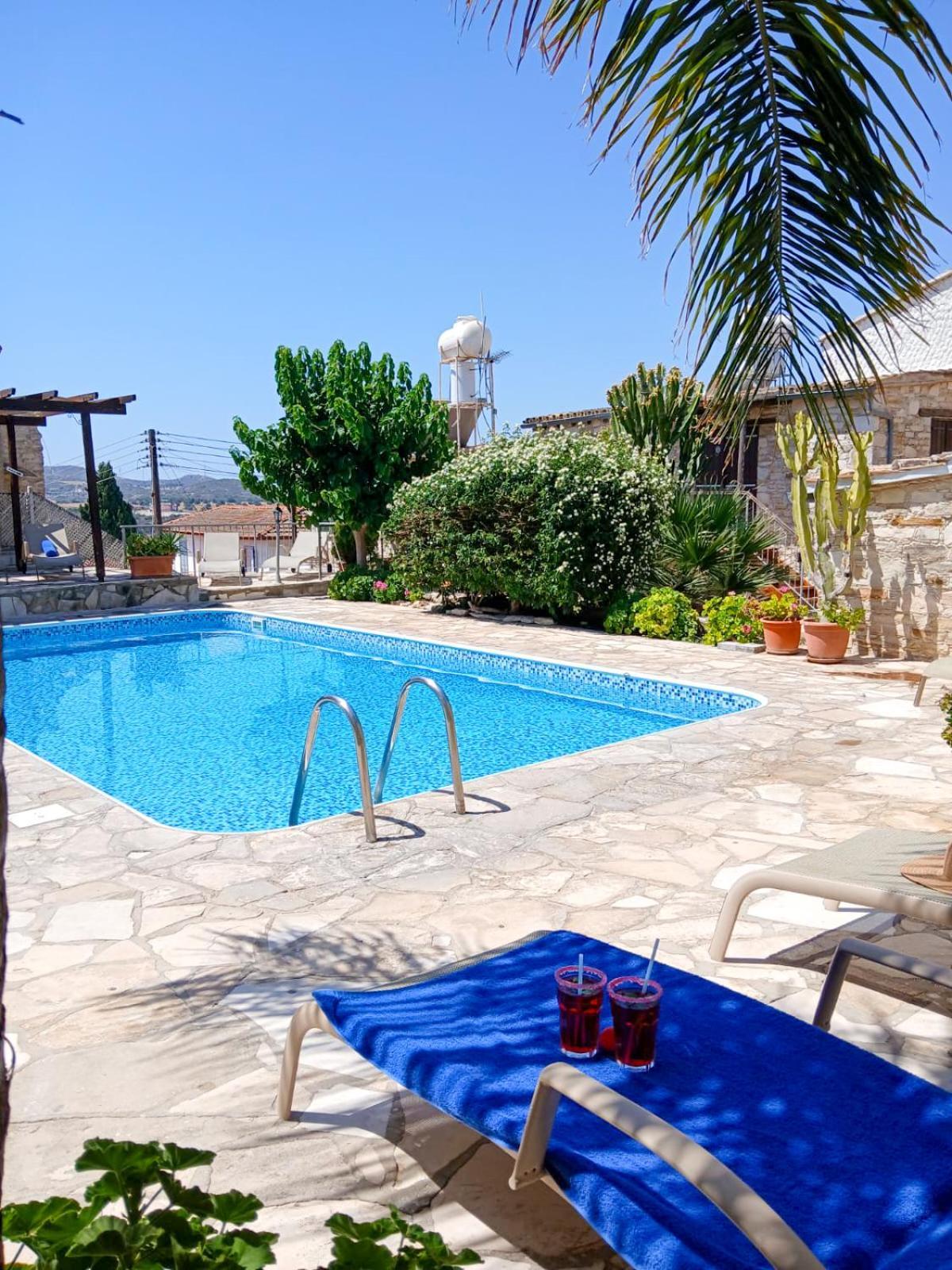 Athena'S Pool Oasis Apartment Skarinou Bagian luar foto